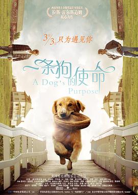 免费看女生尿口网站