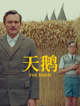 中文字幕久久久久久久系列